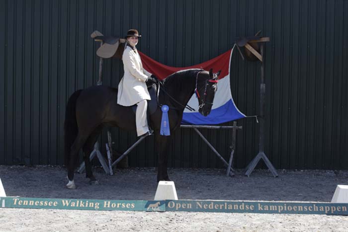 02b-Dressage L with canter