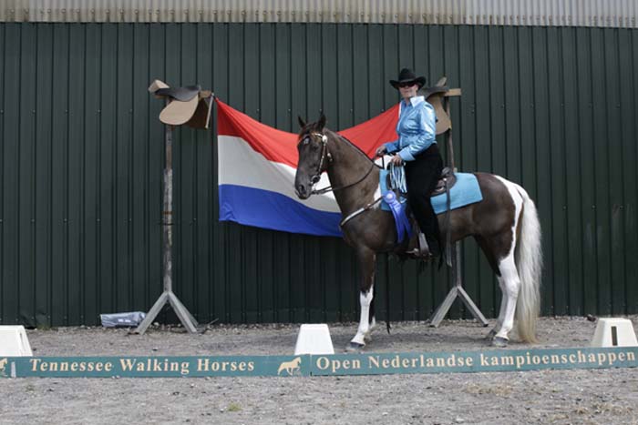 04-Equitation 2 gait Western